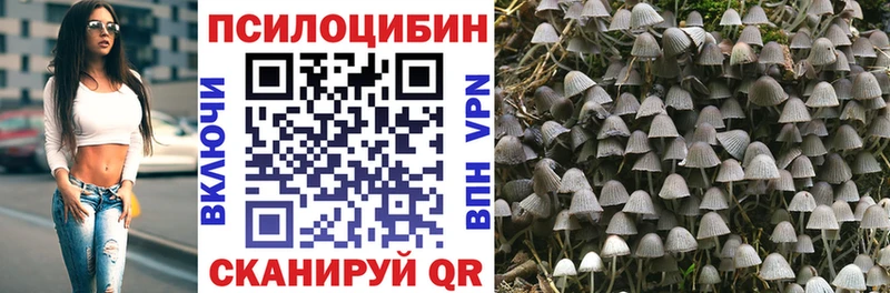Галлюциногенные грибы Psilocybe Суоярви